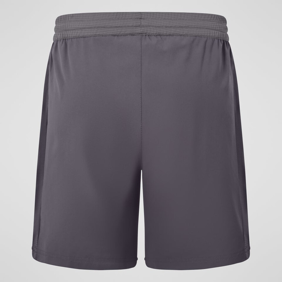 mens wayside short - grey berghaus