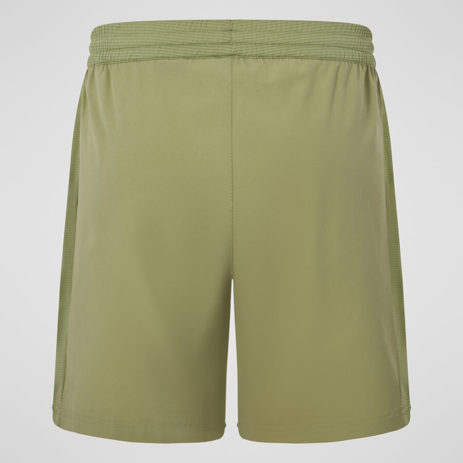 mens wayside short - green berghaus
