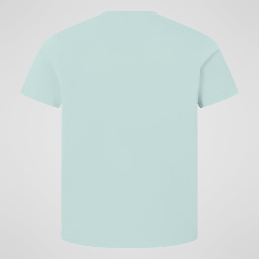 mens class logo tee - green berghaus